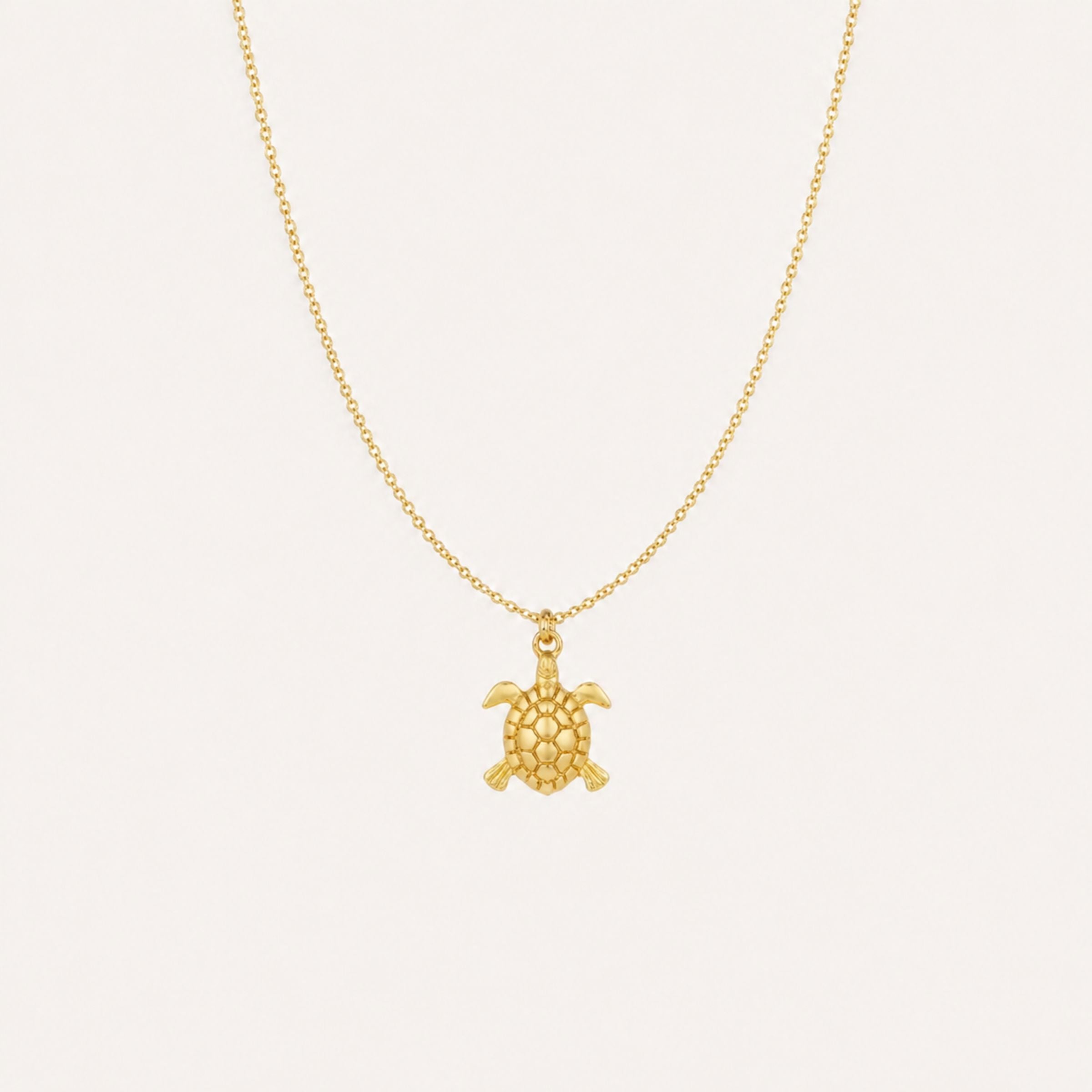 Collar Origen · Collar con colgante de tortuga